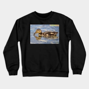 The Next Generation Crewneck Sweatshirt